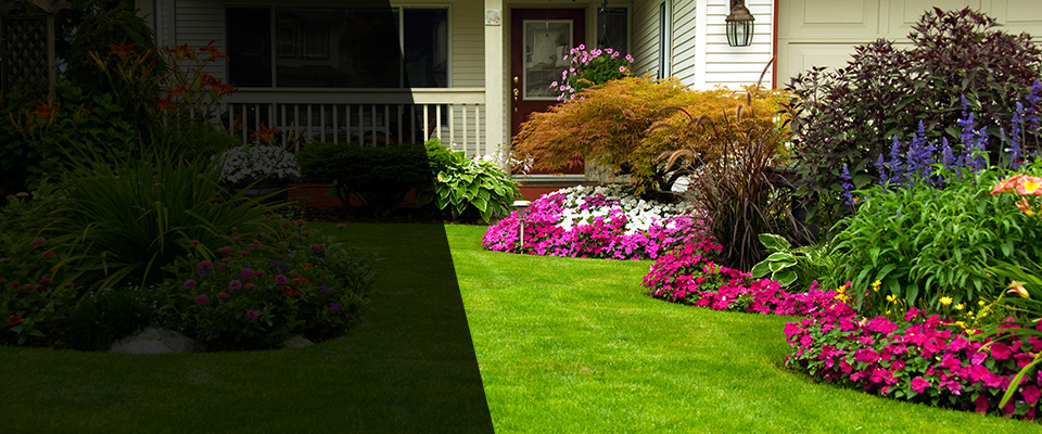 Wood Lake Landscapers