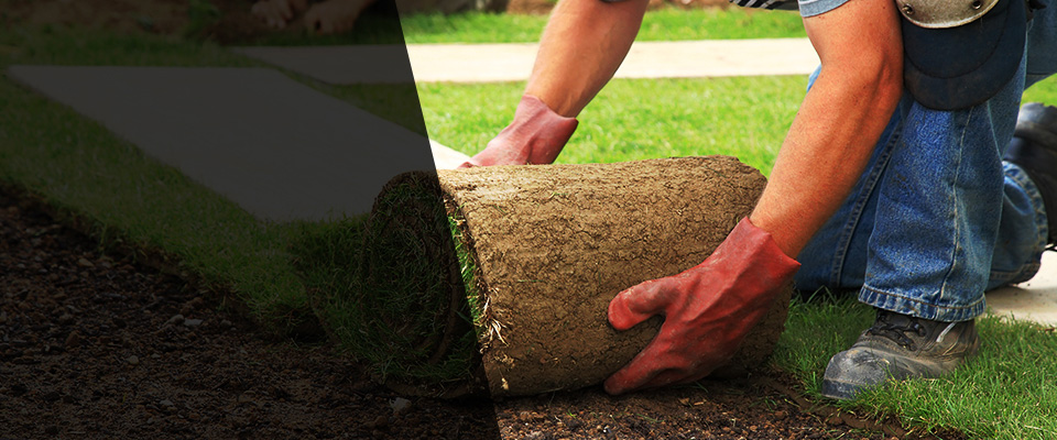Wood Lake Landscapers